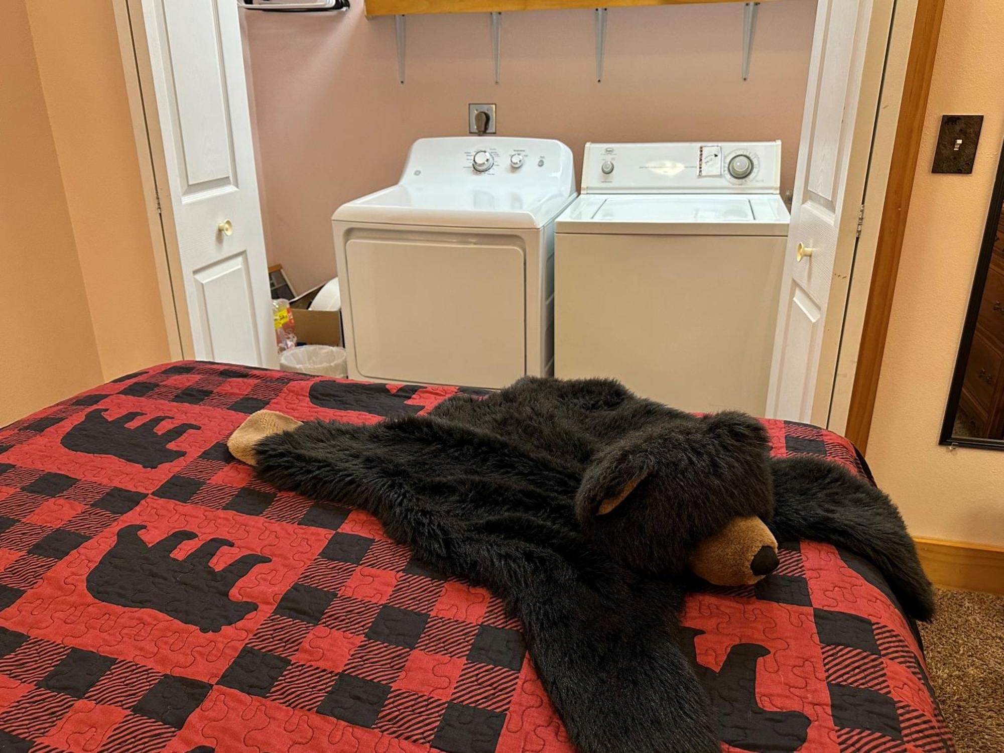 艾恩伍德The Bear Den别墅 外观 照片